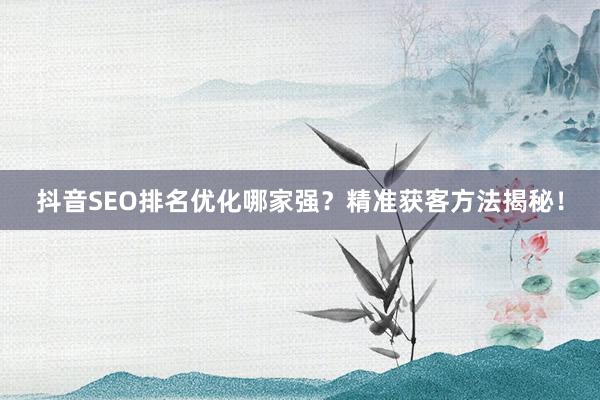 抖音SEO排名优化哪家强？精准获客方法揭秘！