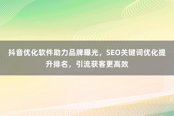 抖音优化软件助力品牌曝光，SEO关键词优化提升排名，引流获客更高效