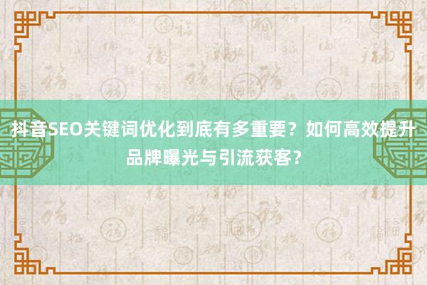 抖音SEO关键词优化到底有多重要？如何高效提升品牌曝光与引流获客？