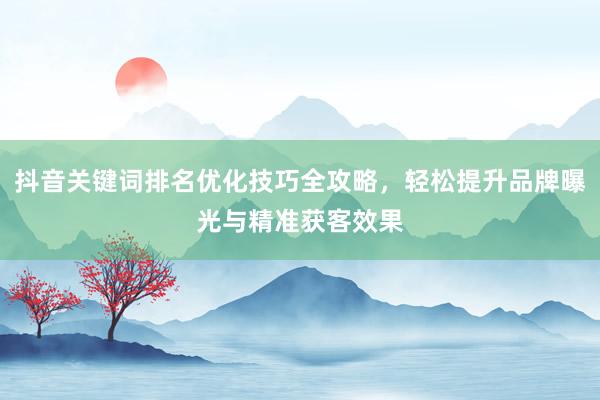 抖音关键词排名优化技巧全攻略，轻松提升品牌曝光与精准获客效果