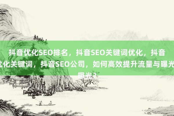 抖音优化SEO排名，抖音SEO关键词优化，抖音优化关键词，抖音SEO公司，如何高效提升流量与曝光？
