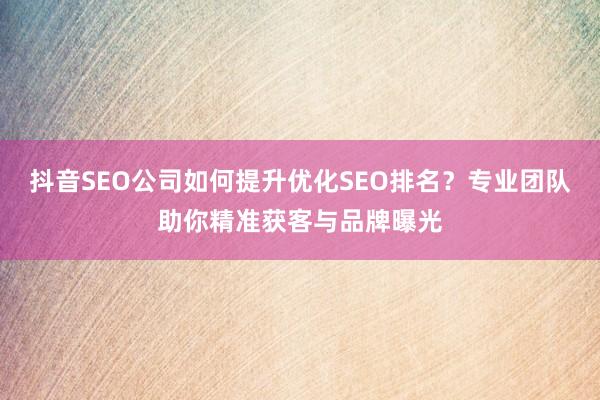 抖音SEO公司如何提升优化SEO排名？专业团队助你精准获客与品牌曝光