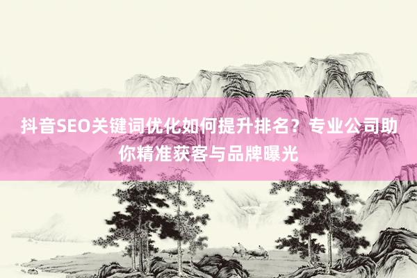 抖音SEO关键词优化如何提升排名？专业公司助你精准获客与品牌曝光