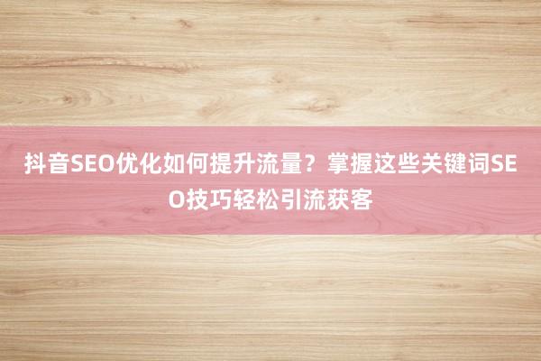 抖音SEO优化如何提升流量？掌握这些关键词SEO技巧轻松引流获客