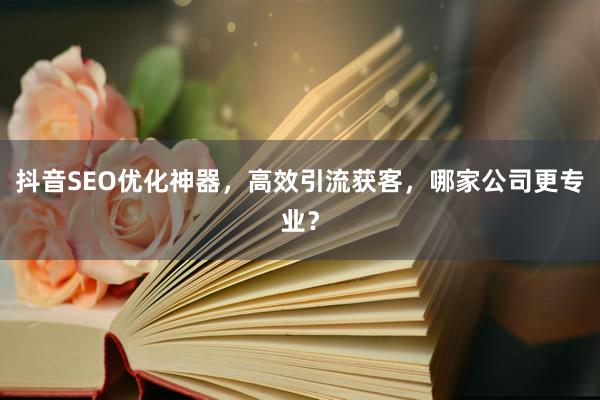 抖音SEO优化神器，高效引流获客，哪家公司更专业？