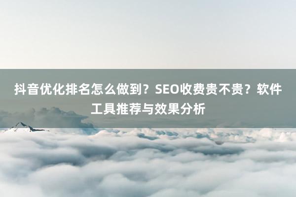 抖音优化排名怎么做到？SEO收费贵不贵？软件工具推荐与效果分析