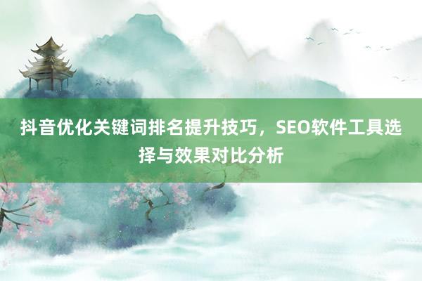 抖音优化关键词排名提升技巧，SEO软件工具选择与效果对比分析