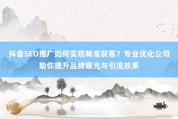抖音SEO推广如何实现精准获客？专业优化公司助你提升品牌曝光与引流效果