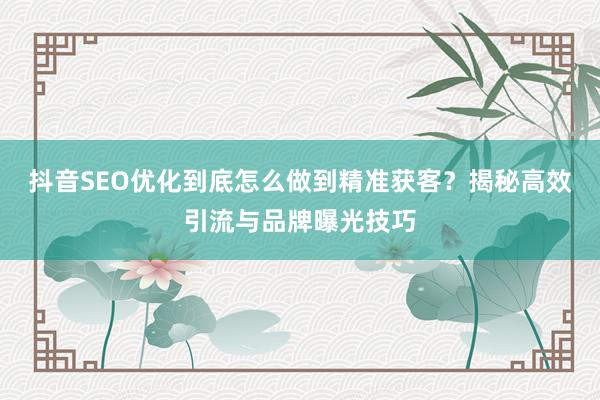 抖音SEO优化到底怎么做到精准获客？揭秘高效引流与品牌曝光技巧