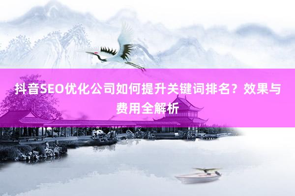 抖音SEO优化公司如何提升关键词排名？效果与费用全解析