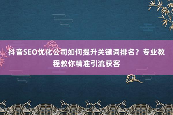 抖音SEO优化公司如何提升关键词排名？专业教程教你精准引流获客