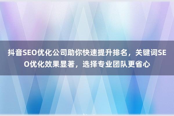 抖音SEO优化公司助你快速提升排名，关键词SEO优化效果显著，选择专业团队更省心