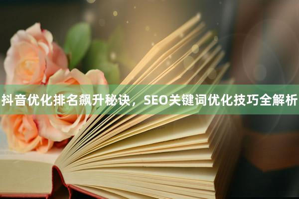 抖音优化排名飙升秘诀，SEO关键词优化技巧全解析