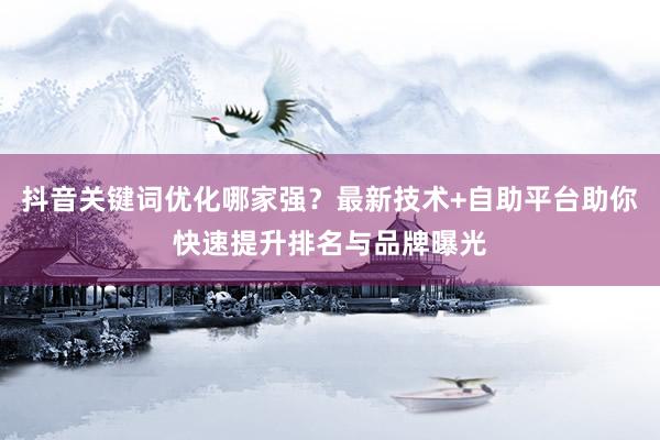 抖音关键词优化哪家强？最新技术+自助平台助你快速提升排名与品牌曝光
