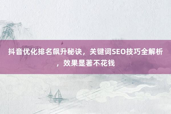 抖音优化排名飙升秘诀，关键词SEO技巧全解析，效果显著不花钱