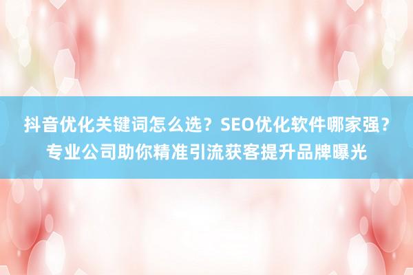 抖音优化关键词怎么选？SEO优化软件哪家强？专业公司助你精准引流获客提升品牌曝光