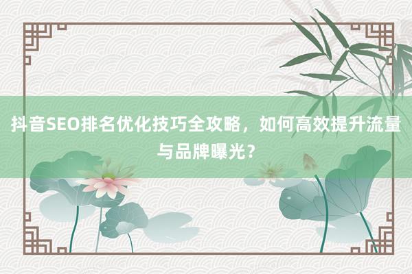 抖音SEO排名优化技巧全攻略，如何高效提升流量与品牌曝光？