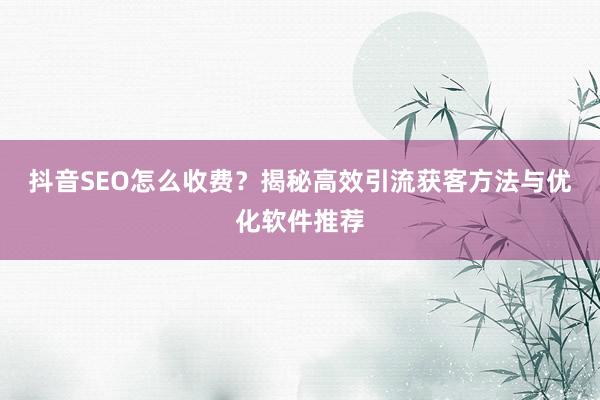 抖音SEO怎么收费？揭秘高效引流获客方法与优化软件推荐