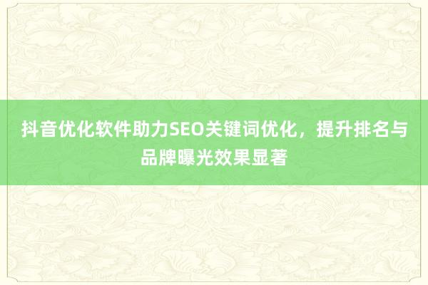 抖音优化软件助力SEO关键词优化，提升排名与品牌曝光效果显著