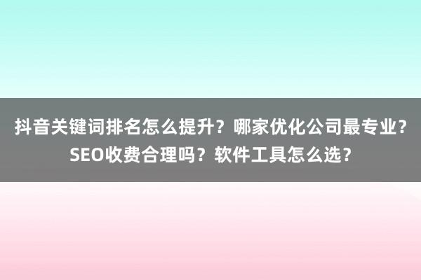 抖音关键词排名怎么提升？哪家优化公司最专业？SEO收费合理吗？软件工具怎么选？