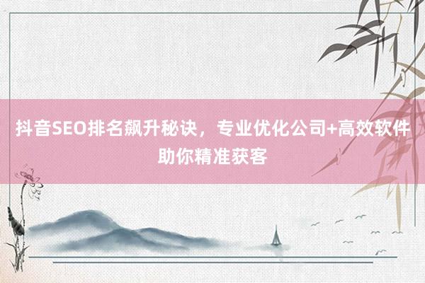 抖音SEO排名飙升秘诀，专业优化公司+高效软件助你精准获客