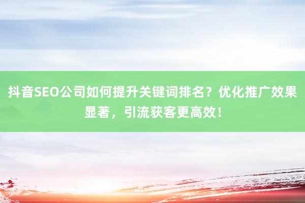 抖音SEO公司如何提升关键词排名？优化推广效果显著，引流获客更高效！