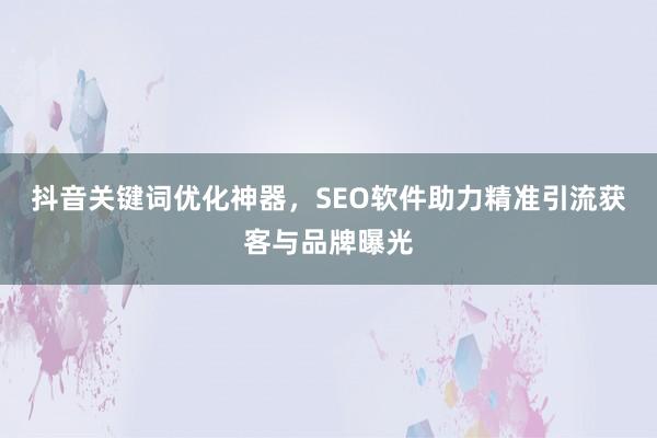 抖音关键词优化神器，SEO软件助力精准引流获客与品牌曝光