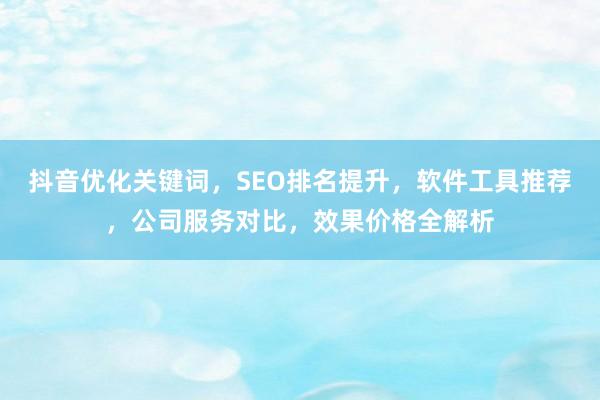 抖音优化关键词，SEO排名提升，软件工具推荐，公司服务对比，效果价格全解析