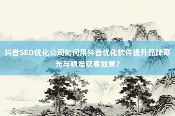 抖音SEO优化公司如何用抖音优化软件提升品牌曝光与精准获客效果？