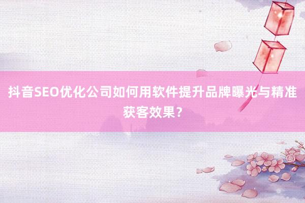 抖音SEO优化公司如何用软件提升品牌曝光与精准获客效果？
