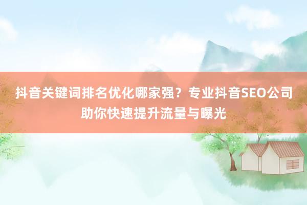 抖音关键词排名优化哪家强?专业抖音SEO公司助你快速提升流量与曝光