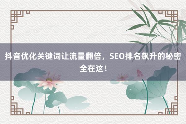 抖音优化关键词让流量翻倍，SEO排名飙升的秘密全在这！