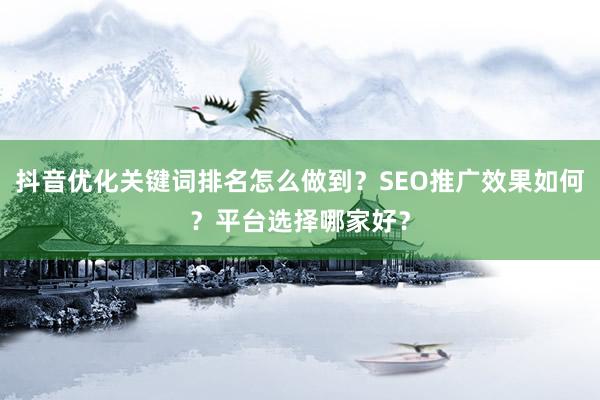 抖音优化关键词排名怎么做到？SEO推广效果如何？平台选择哪家好？