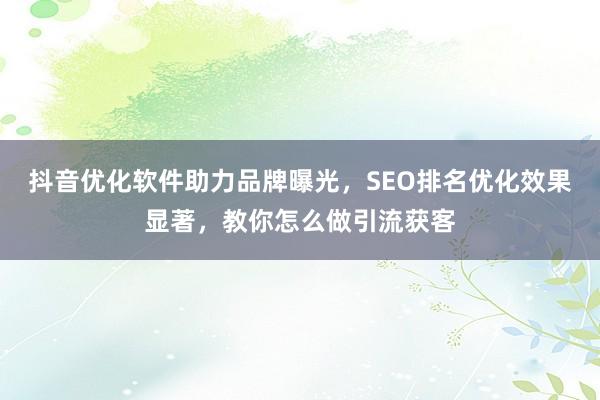 抖音优化软件助力品牌曝光，SEO排名优化效果显著，教你怎么做引流获客