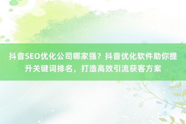 抖音SEO优化公司哪家强？抖音优化软件助你提升关键词排名，打造高效引流获客方案