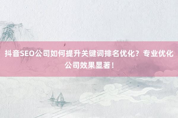 抖音SEO公司如何提升关键词排名优化？专业优化公司效果显著！