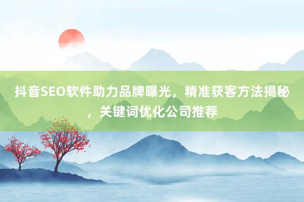 抖音SEO软件助力品牌曝光，精准获客方法揭秘，关键词优化公司推荐