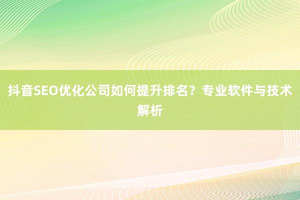 抖音SEO优化公司如何提升排名?专业软件与技术解析