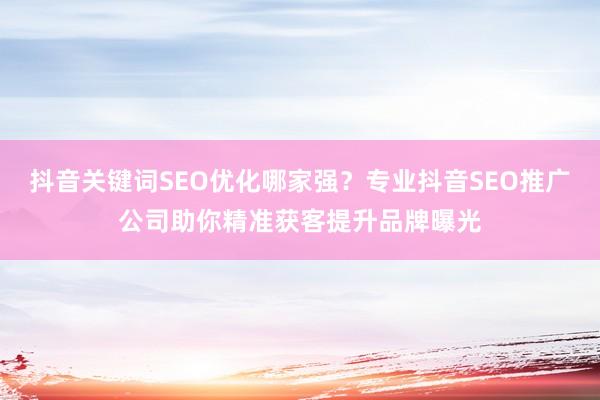 抖音关键词SEO优化哪家强？专业抖音SEO推广公司助你精准获客提升品牌曝光