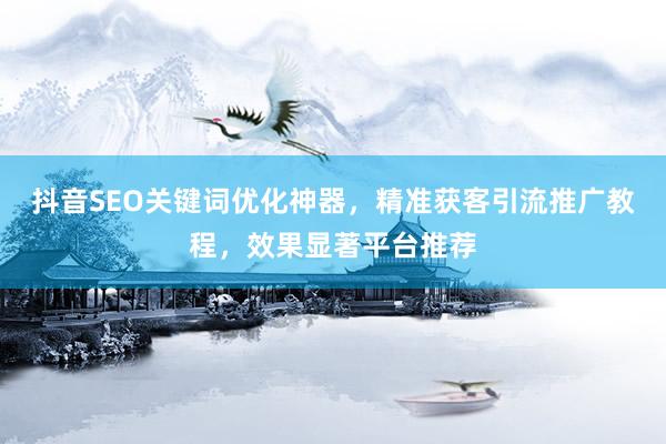 抖音SEO关键词优化神器，精准获客引流推广教程，效果显著平台推荐