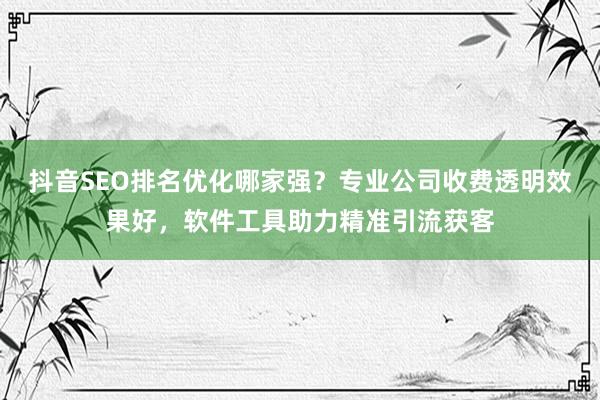 抖音SEO排名优化哪家强？专业公司收费透明效果好，软件工具助力精准引流获客