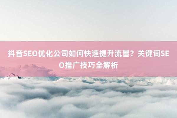 抖音SEO优化公司如何快速提升流量？关键词SEO推广技巧全解析
