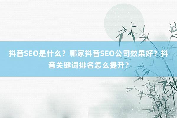 抖音SEO是什么？哪家抖音SEO公司效果好？抖音关键词排名怎么提升？