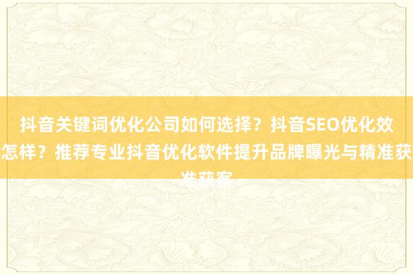 抖音关键词优化公司如何选择？抖音SEO优化效果怎样？推荐专业抖音优化软件提升品牌曝光与精准获客