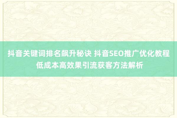 抖音关键词排名飙升秘诀 抖音SEO推广优化教程 低成本高效果引流获客方法解析