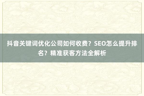 抖音关键词优化公司如何收费？SEO怎么提升排名？精准获客方法全解析