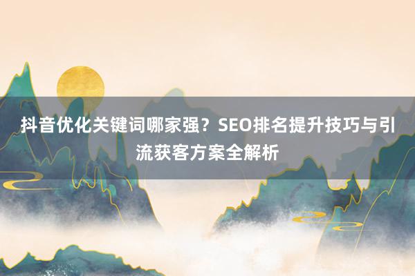 抖音优化关键词哪家强？SEO排名提升技巧与引流获客方案全解析