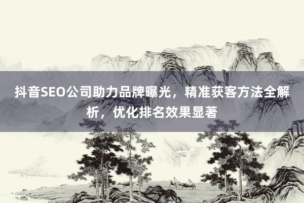 抖音SEO公司助力品牌曝光，精准获客方法全解析，优化排名效果显著