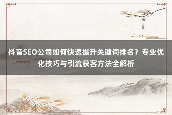 抖音SEO公司如何快速提升关键词排名？专业优化技巧与引流获客方法全解析