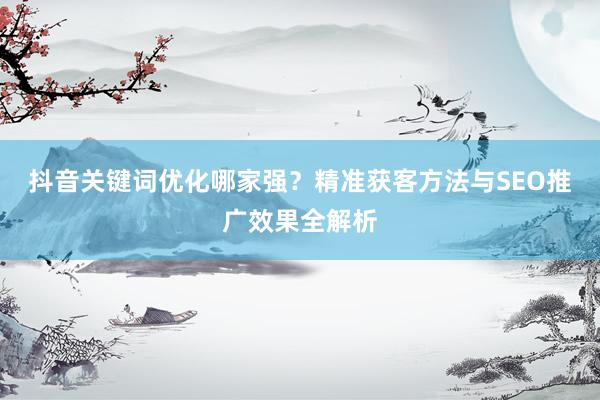 抖音关键词优化哪家强？精准获客方法与SEO推广效果全解析